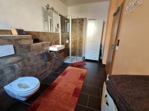 a bathroom with a toilet and a sink and a shower at Ferienwohnung im alten Milchwerk in Görisried +12 photos