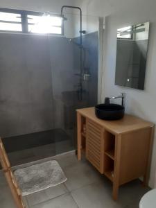 Vonios kambarys apgyvendinimo įstaigoje Tiny House Moorea Hinavai