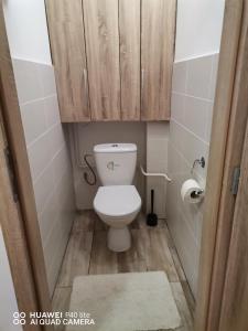a small bathroom with a toilet with a wooden cabinet at Apartmán Family in Lúčky