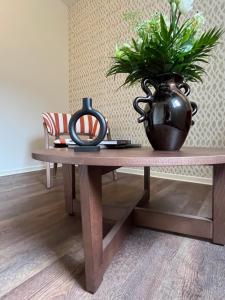 a vase on a table with a plant in it at Hôtel La Truffe Noire in Brive-la-Gaillarde