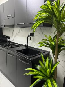 una cocina con fregadero y 2 plantas en Suites - ghibellina 92 en Florence