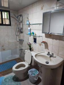 een badkamer met een toilet en een wastafel bij Bella Vista Apartment, Oasis Residential in Santo Domingo