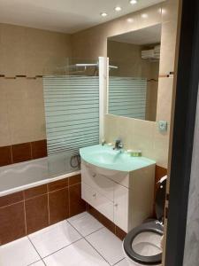 uma casa de banho com um lavatório, um WC e um espelho. em Appartement « Mexico », Avignon em Avignon
