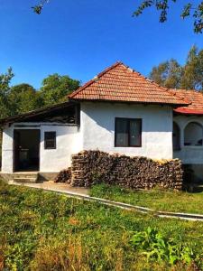 a white house with a red roof and a stone wall at Pridvorul lui Viorel in Proviţa de Sus