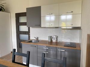 eine Küche mit einer Spüle und einer Arbeitsplatte in der Unterkunft Apartmán Vyhlídka Hamry in Hamry