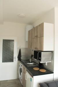 een keuken met een wastafel en een magnetron bij Meli apartman in Smederevo