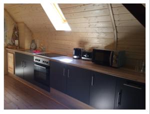 a kitchen with a counter with a microwave and a stove at Weidmannsruh - große Ferienwohnung mit 3 Schlafzimmern in Frauendorf