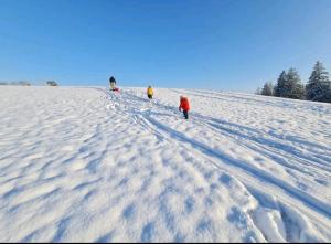 a group of people walking up a snow covered slope at Ferienwohnung im alten Milchwerk in Görisried