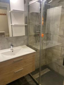 W łazience znajduje się umywalka i prysznic. w obiekcie Studio de 28 m2 lumineux et élégant w mieście Chambéry