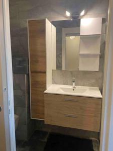 ein Bad mit einem Waschbecken und einem Spiegel in der Unterkunft Studio de 28 m2 lumineux et élégant in Chambéry