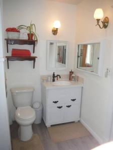 a bathroom with a toilet and a sink and mirror at Gîte Richmond Inn in Richmond