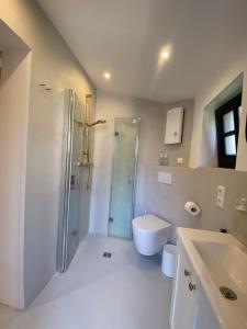 een badkamer met een douche, een toilet en een wastafel bij Lüttje Huus Emden in Emden