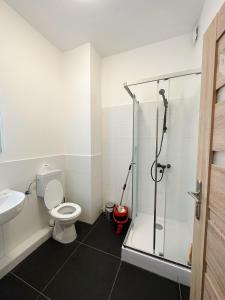 a bathroom with a shower and a toilet and a sink at 2 schlafenzimmer Waschmaschine Eller in Düsseldorf