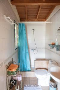 a bathroom with a toilet and a blue shower curtain at Lightbooking Claudia Hermigua La Gomera in Hermigua