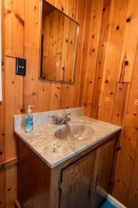 ein Bad mit einem Waschbecken und einem Spiegel in der Unterkunft Big Blue Lake Cottages, LLC - Cottage #1 in Holton