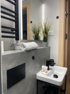 een badkamer met een wastafel en een spiegel bij Kątowa in Krakau +6 foto's