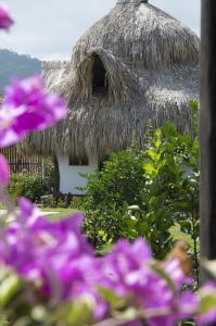 Imagen de la galería de Palomino Breeze Hostal, en Palomino