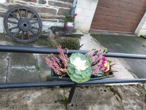een bord kool en bloemen op een tafel bij LA FOLLE PARENTHESE in Vireux-Molhain