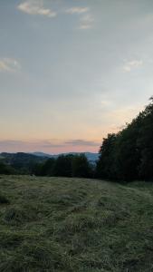 a field of grass with trees in the distance at Wildkamp Resort Zelten in der freien Natur ( Wiese Wald ) in Rimbach