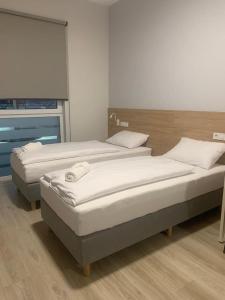 2 łóżka pojedyncze w pokoju z oknem w obiekcie Centrum Szkoleniowo - Noclegowe HHM HEGELMANN 
