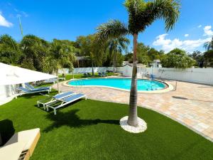 a palm tree sitting next to a swimming pool at King Suite Apt W Shared Pool 07 in Clearwater