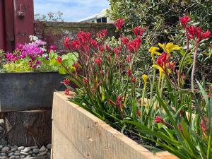 a garden with flowers in a wooden box at ASURE Ambassador Motor Lodge in Oamaru