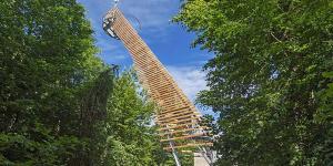 a tall ladder in the middle of some trees at Wildkamp Resort Zelten in der freien Natur ( Wiese Wald ) in Rimbach
