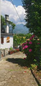 uma casa com uma árvore e flores à frente dela em AL CASTANEDO em Domodossola