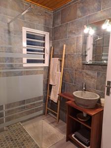 a bathroom with a sink and a mirror at Le Chalet Kréol in Saint-Joseph