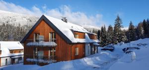 Apartmán U nás na Dolní Moravě trong mùa đông