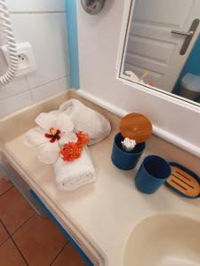 Bilik mandi di TI OASIS Trinidad, Studio vue Mer à P&Vac village-club