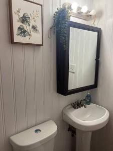 La salle de bains est pourvue d'un lavabo, d'un miroir et de toilettes. dans l'établissement Humble Cove Lake Cottage: kayaks, fishing, firepit, à Worthville