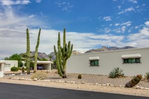a white building with cacti in front of it at Tucson Townhome with Shared Pool in 55 and Community! in Tucson