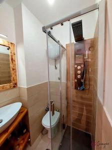 a bathroom with a shower and a toilet and a sink at [*Corazón*] il Loft del cuore in Filettino