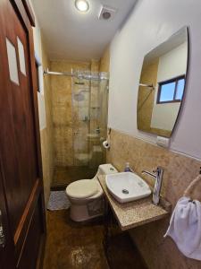 uma casa de banho com um WC, um lavatório e um chuveiro em Hotel Posada de María em Cuenca