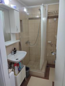 ein Bad mit einem Waschbecken und einer Dusche in der Unterkunft Apartman Gradina Zlatibor in Zlatibor