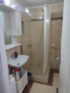 a bathroom with a sink and a shower at Apartman Jevtic Zlatibor in Zlatibor +19 photos