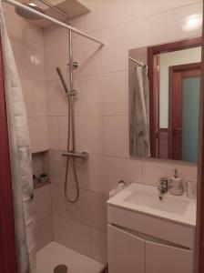 a bathroom with a shower and a sink at Cávado Terrace Studio in Parada de Tibães