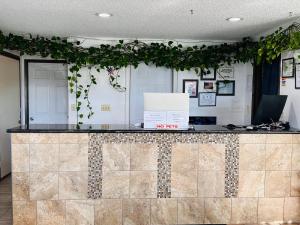 a lobby with a counter with plants on the wall at Northwoods Motel in Blaine