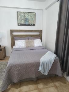 a bedroom with a bed with a gray comforter at Roseau City Hub Apartment in Roseau