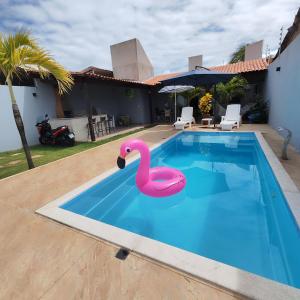 a pink swan float in a swimming pool at Casa Lenger in Aracaju