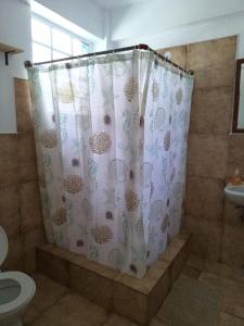 a shower curtain in a bathroom with a toilet at Roseau City Hub apt # 3 in Roseau +14 photos