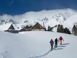 霍亨陶恩的住宿－Apartment in Hohentauern with sauna，三人在雪覆盖的山上越野滑雪