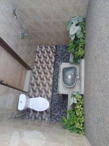 baño con aseo y plantas en la pared en Chida Homestay, en Ubud