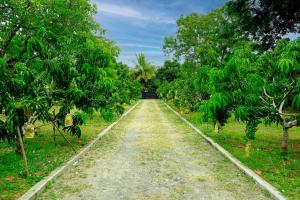 Fotografie z fotogalerie ubytování Serenity Villa Anuradhapura v destinaci Anuradhápura