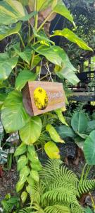 Fotografie z fotogalerie ubytování บ้านลูกจัน Bann Lookjan Trat v destinaci Trat