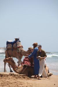 dwie osoby jadące na wielbłądzie po plaży w obiekcie Desart Hostel w mieście Tamraght Ouzdar +5 zdjęć