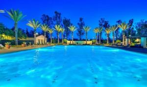 a large swimming pool with palm trees at OC lrvine eastwood family Lux 4beds &3 bath villa in Irvine