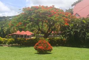 Taman di luar TI OASIS Trinidad, Studio vue Mer à P&Vac village-club