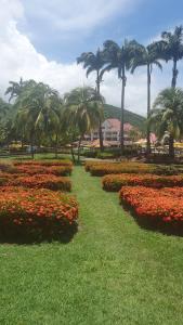 Taman di luar TI OASIS Trinidad, Studio vue Mer à P&Vac village-club
